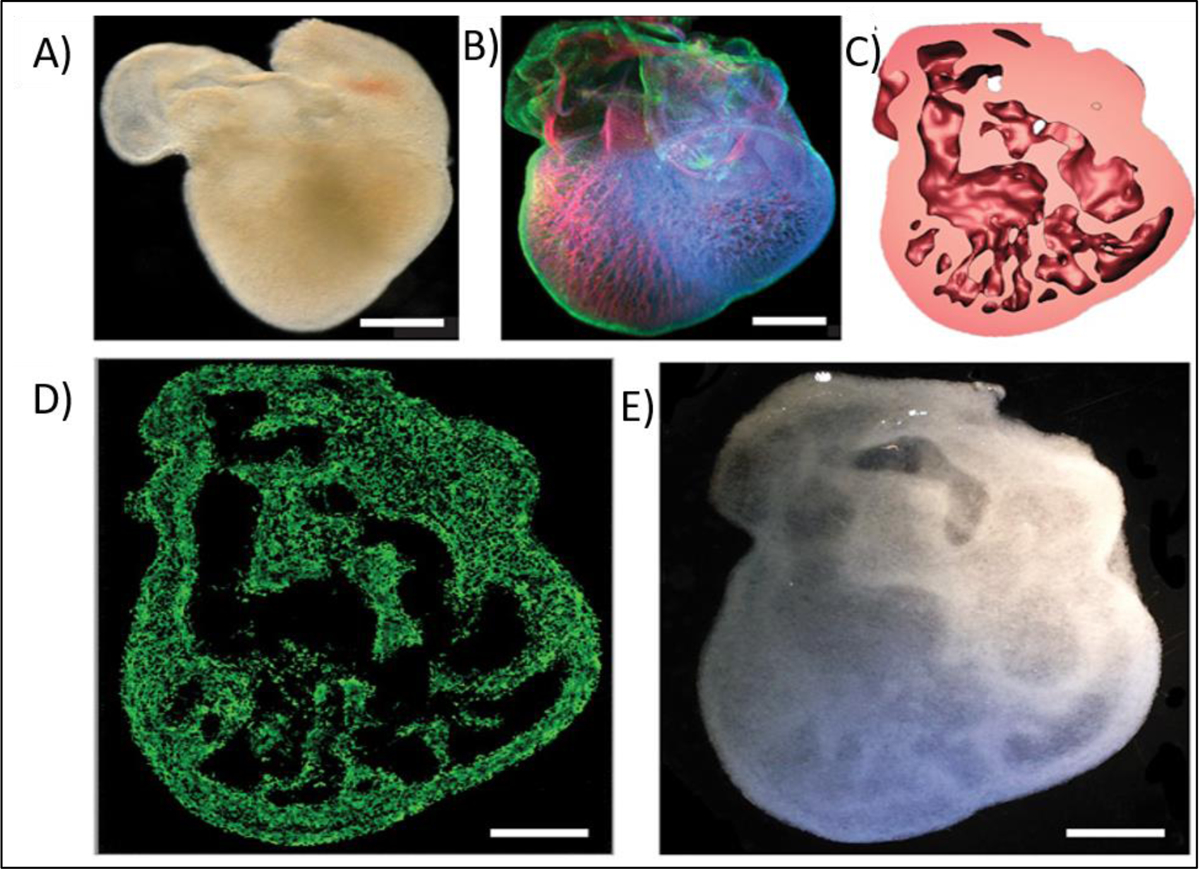 Figure 3.