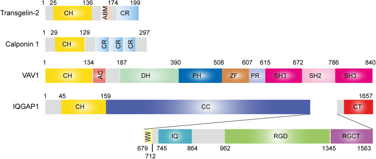 FIGURE 1