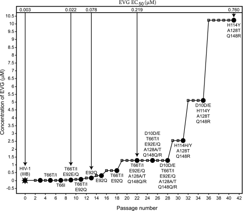 FIG. 3.