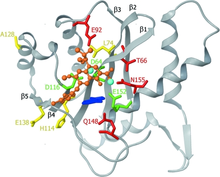 FIG. 8.