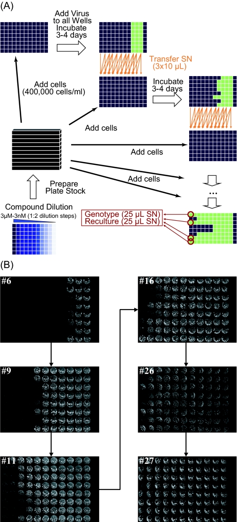 FIG. 2.