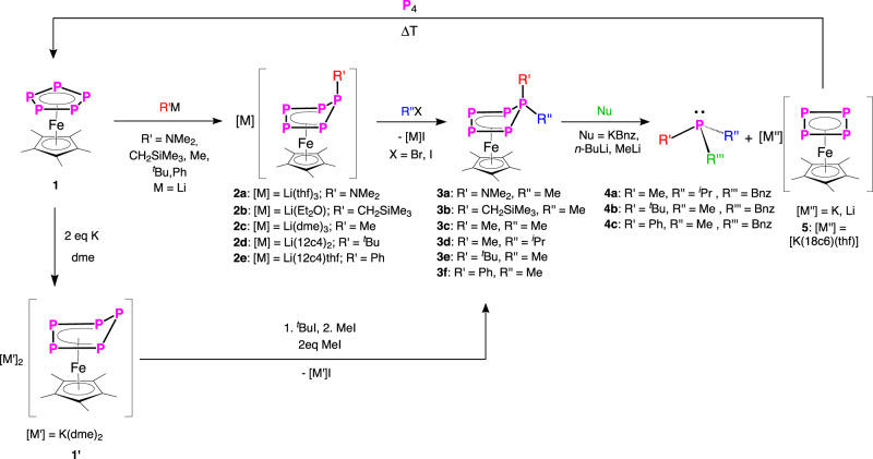 Fig. 2