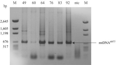 Figure  5. 