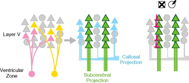 Figure 12.