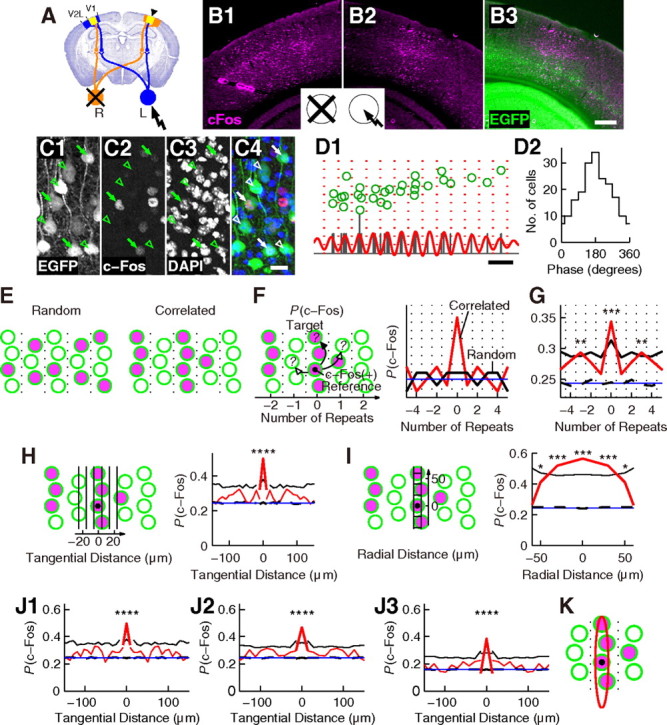 Figure 11.