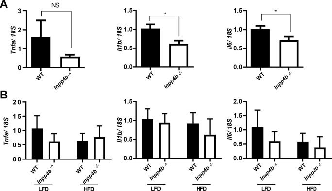 Fig 10