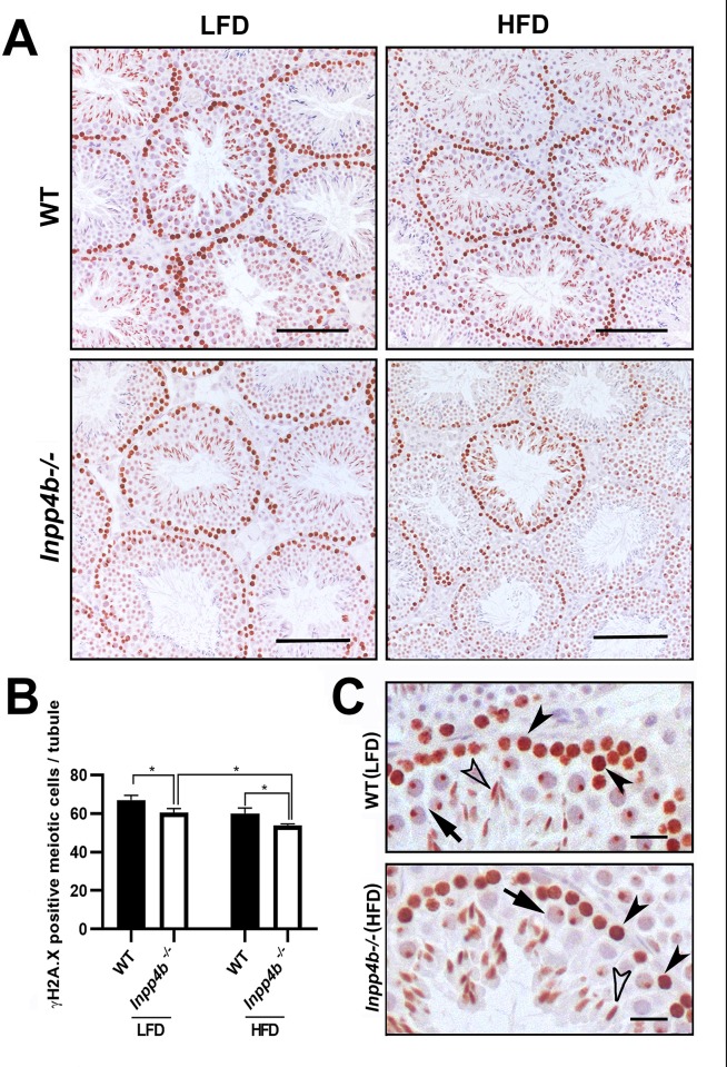 Fig 9