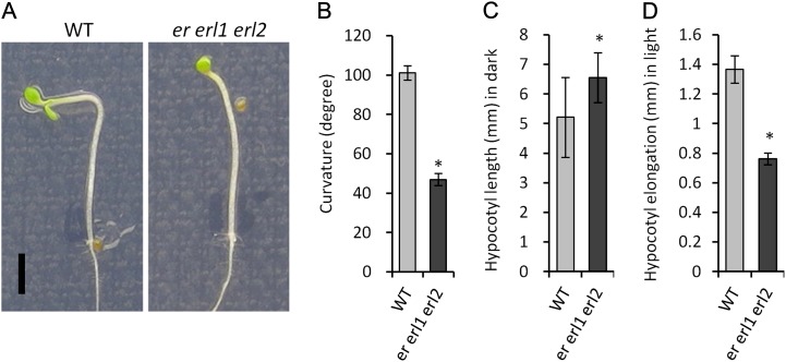 Figure 9.