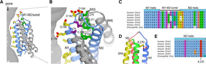 Figure 7.