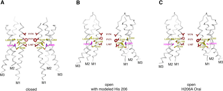 Figure 9—figure supplement 2.