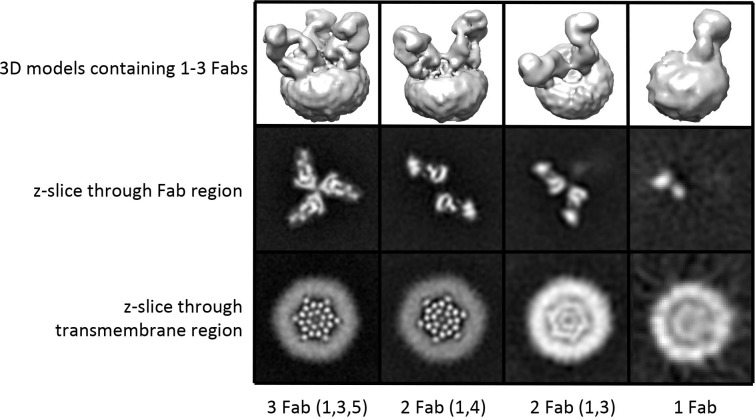 Figure 2—figure supplement 2.