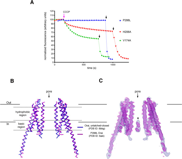 Figure 9—figure supplement 3.