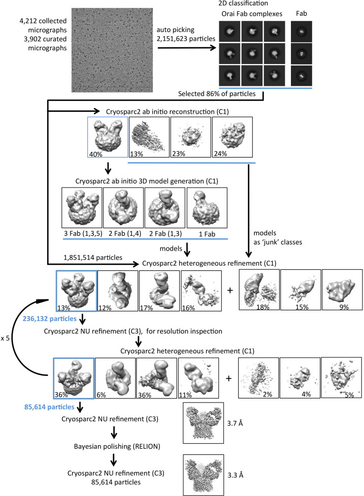 Figure 2—figure supplement 1.