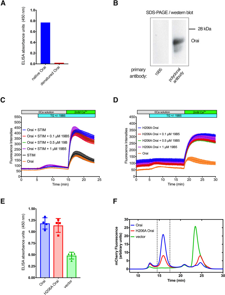 Figure 1—figure supplement 1.