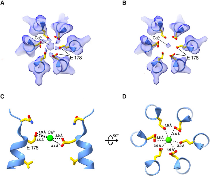 Figure 3—figure supplement 1.