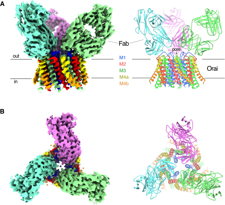 Figure 2.