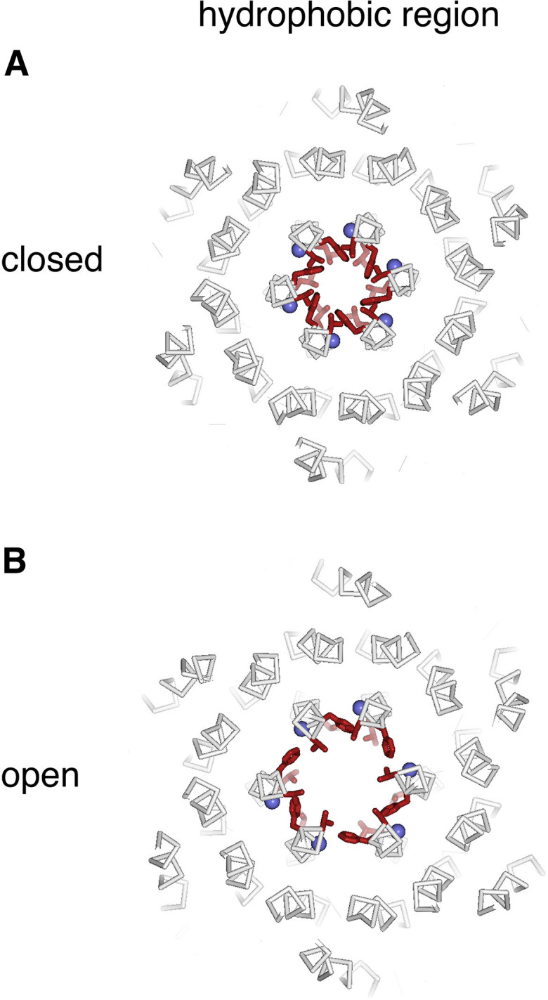 Figure 9—figure supplement 1.