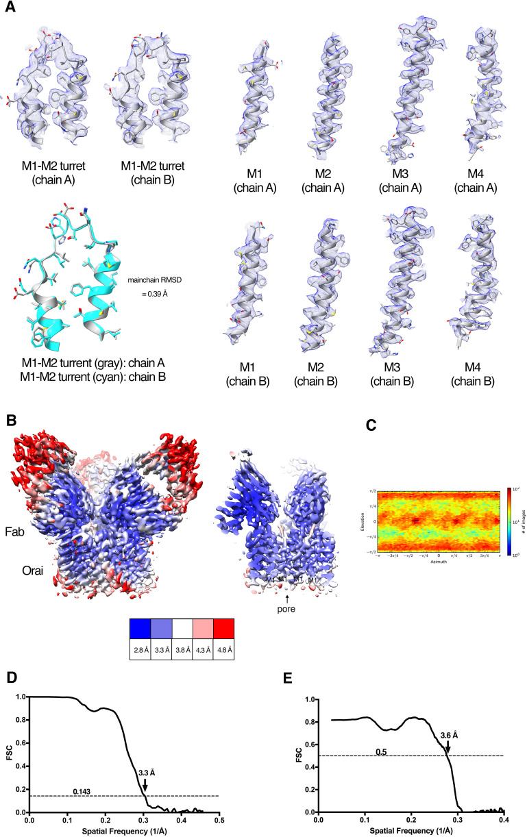 Figure 2—figure supplement 3.