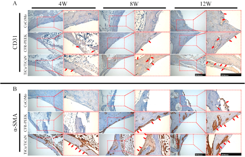 Fig. 8