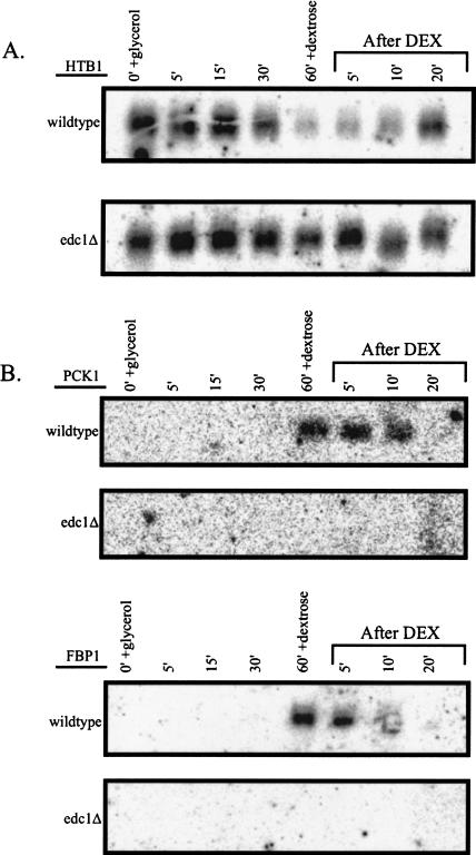 FIGURE 7.