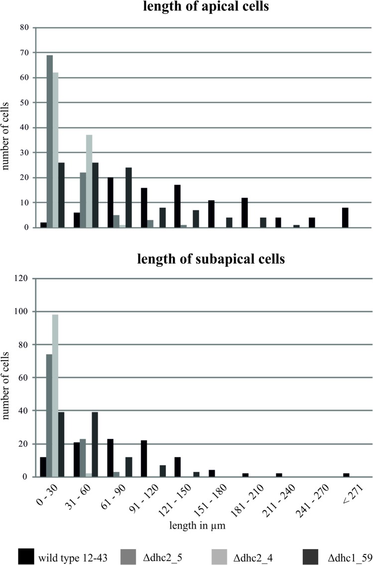 Fig 5