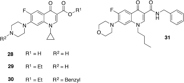 Fig. 14