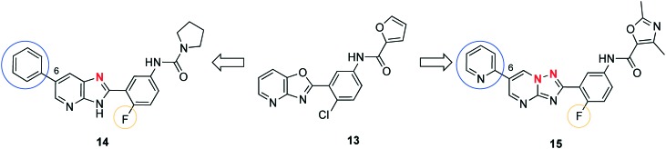 Fig. 5