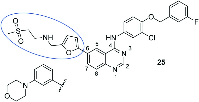 Fig. 12