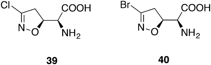 Fig. 17