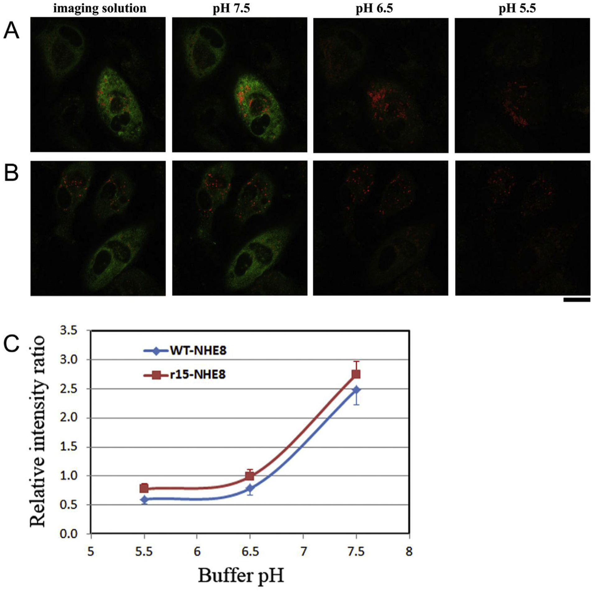 Fig. 6.