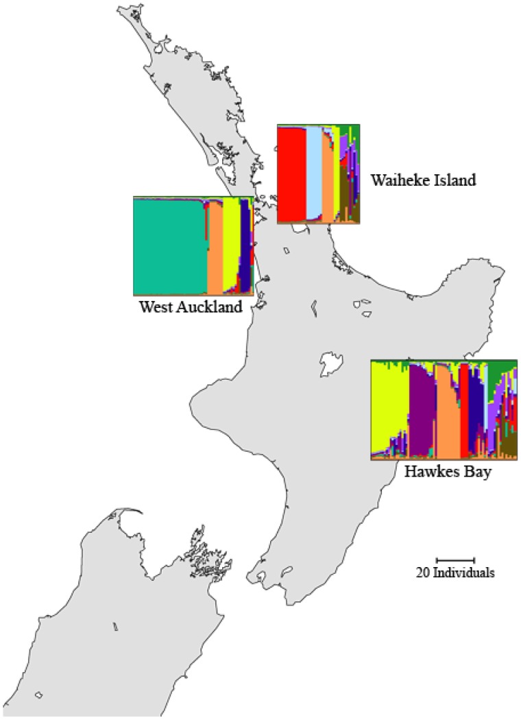 Figure 3.Map