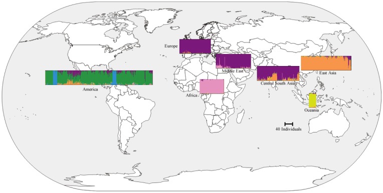 Figure 2.World