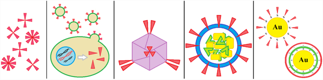 graphic file with name nihms-1682538-f0001.jpg