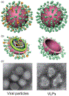 Fig. 4 –