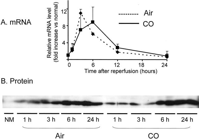 Figure 11.