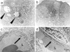 Figure 9.