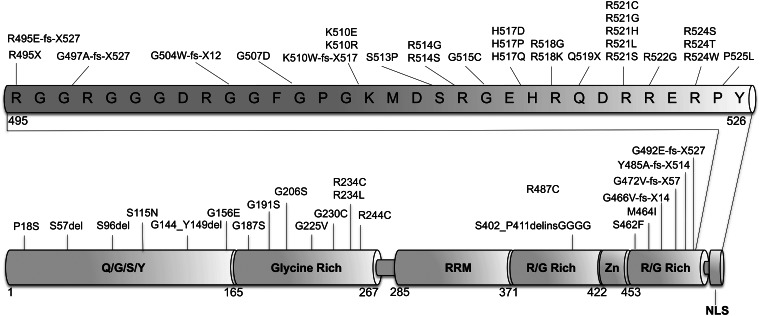 Figure 1.