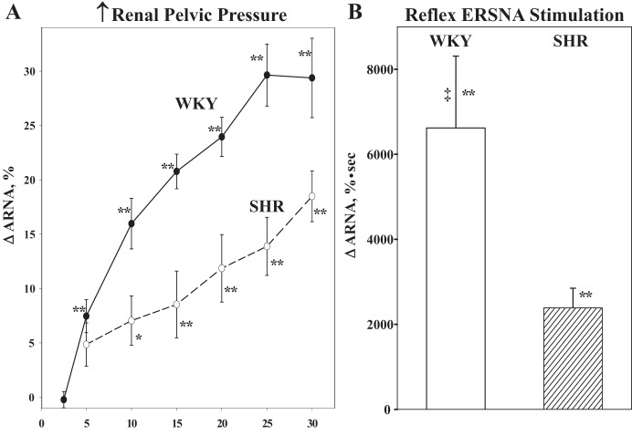 Fig. 12.