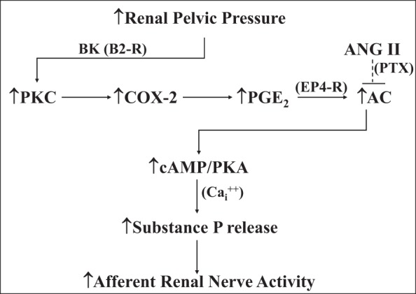 Fig. 10.