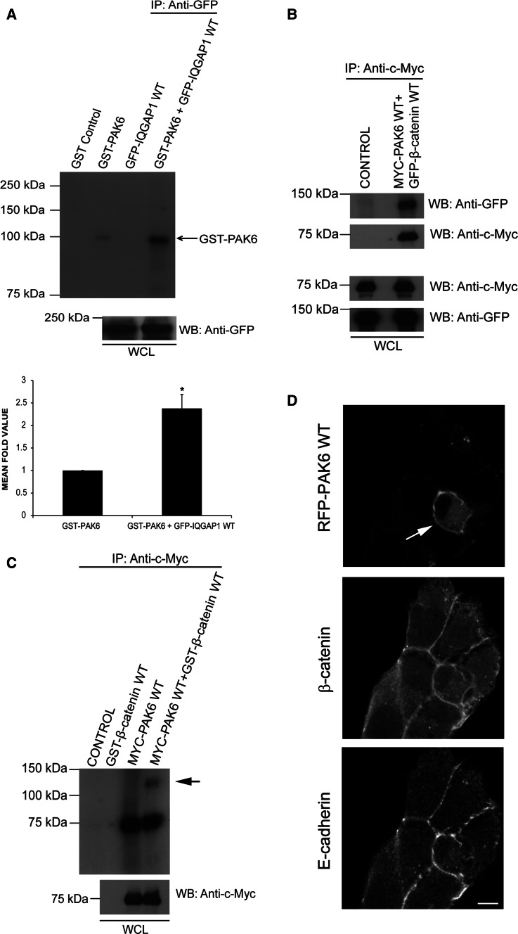 Fig. 6