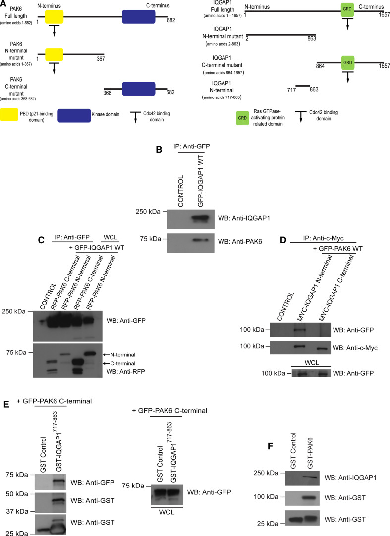 Fig. 4