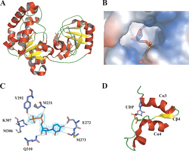 FIGURE 3.