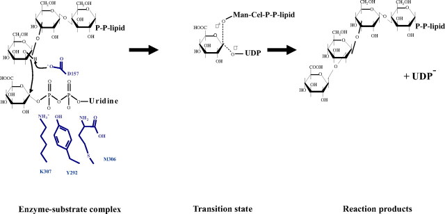 FIGURE 7.