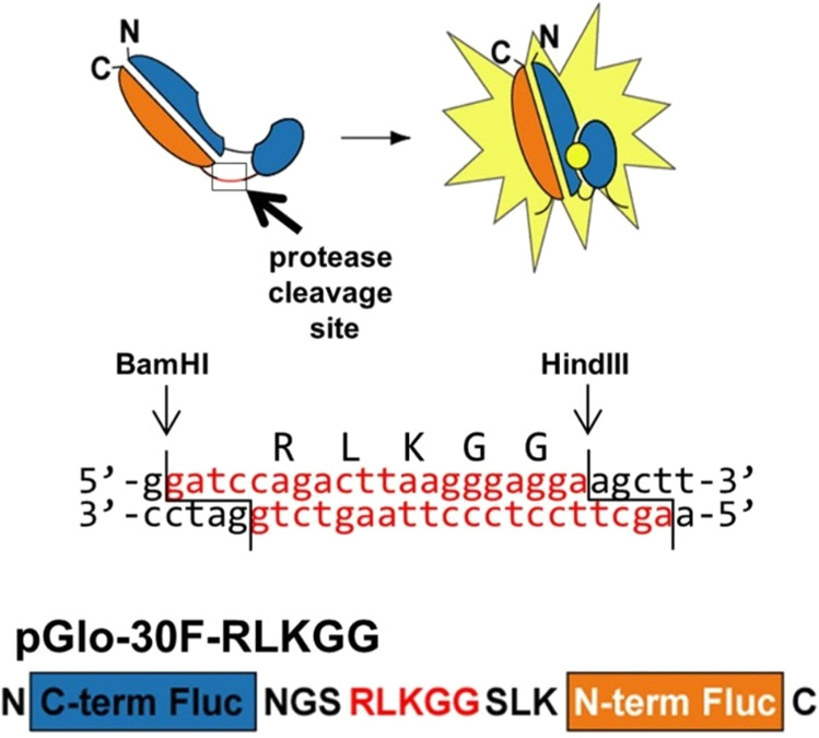 Figure 19