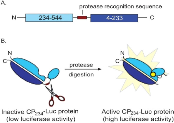 Figure 18