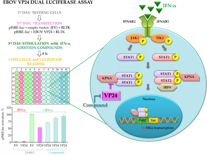 Figure 22