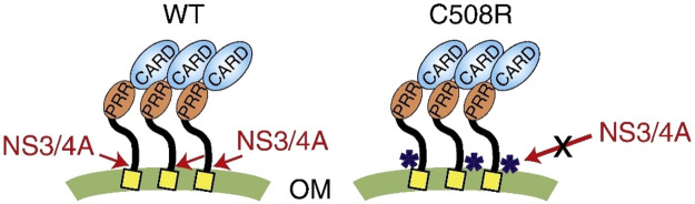 Figure 16