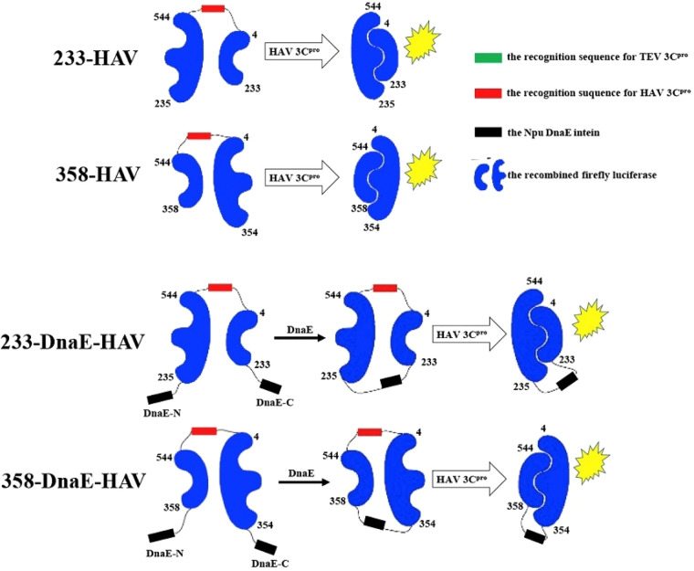 Figure 21