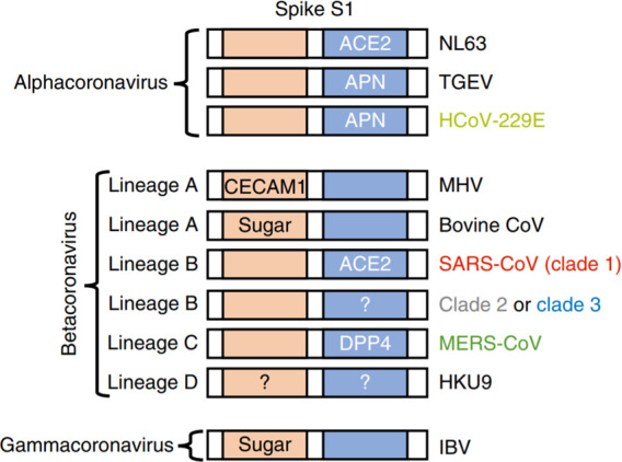 Figure 25