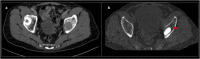 Fig. 8